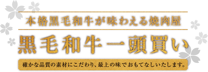 黒毛和牛 一頭買い